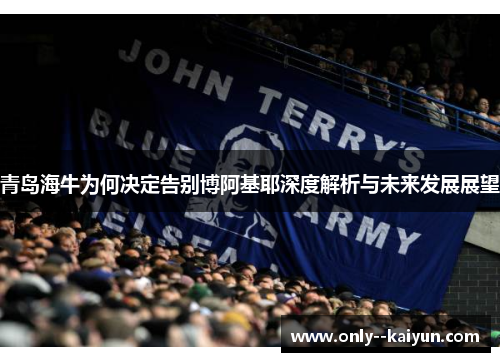 青岛海牛为何决定告别博阿基耶深度解析与未来发展展望